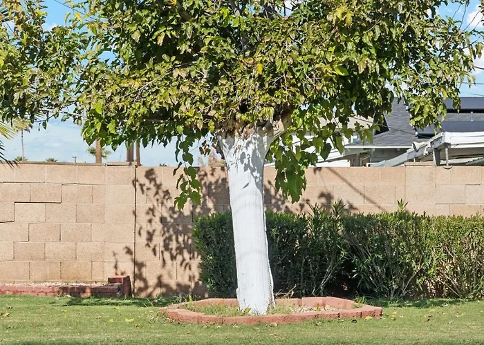 Renovated With Pool 3 Miles From Old Town Scottsdale